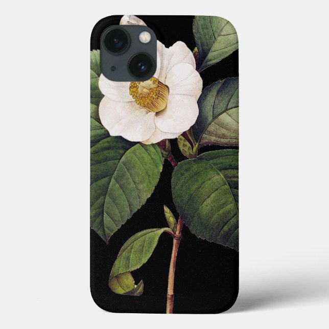 VitCamellia (Baksida)