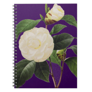VitCamellia, 1833 Anteckningsbok Med Spiral