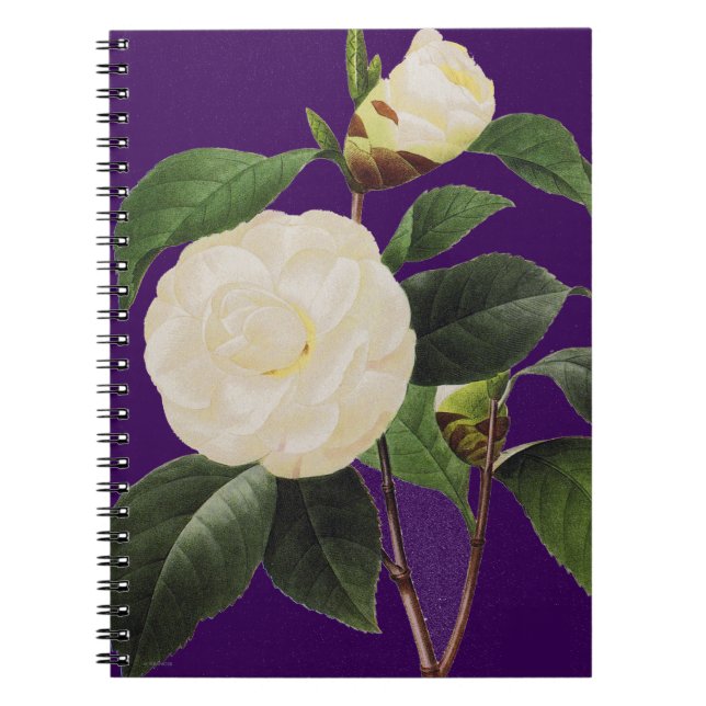 VitCamellia, 1833 Anteckningsbok Med Spiral (Framsidan)