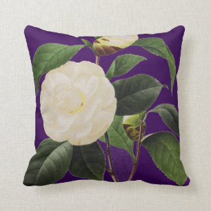 VitCamellia, 1833 Kudde