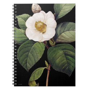 VitCamellia Anteckningsbok