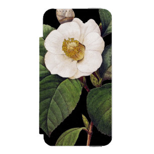 VitCamellia