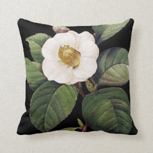 VitCamellia Kudde