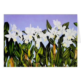 VitCattleya Orchids Hälsningskort