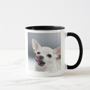VitChihuahua som slickar läppar Mugg