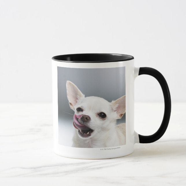 VitChihuahua som slickar läppar Mugg (Höger)