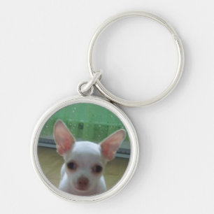 VitChihuahuavalp Keychain Rund Silverfärgad Nyckelring