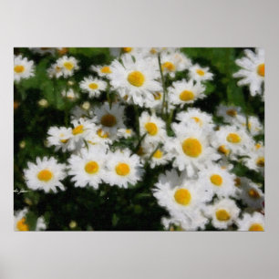 Vitdaisyvattenfärg Poster