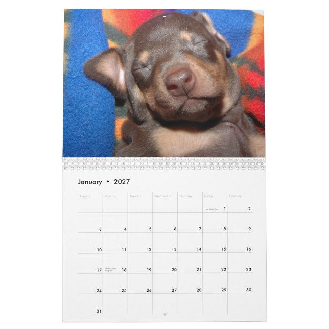 VitDobermankalender Kalender (Jan 2027)