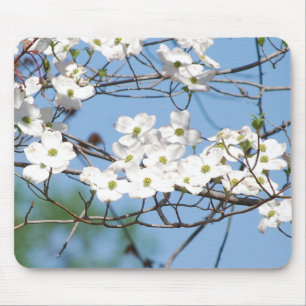 VitDogwood blommar mousepad Musmatta