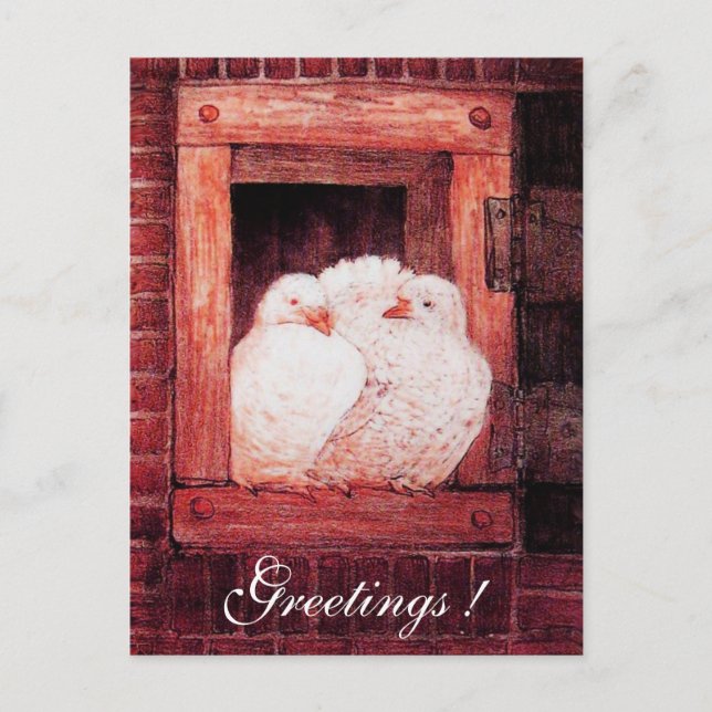 VITDOKUMENT VID WINDOW Red rosa Vykort (Framsida)