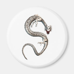 Vitdrake Magnet