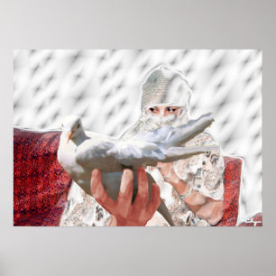 vitduva dröm poster