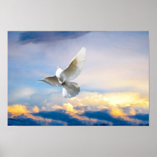 Vitduva i flyg poster