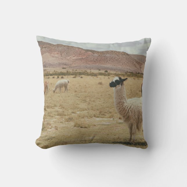VITE LLAMA PÅ BROWN GRASS KUDDE (Framsida)
