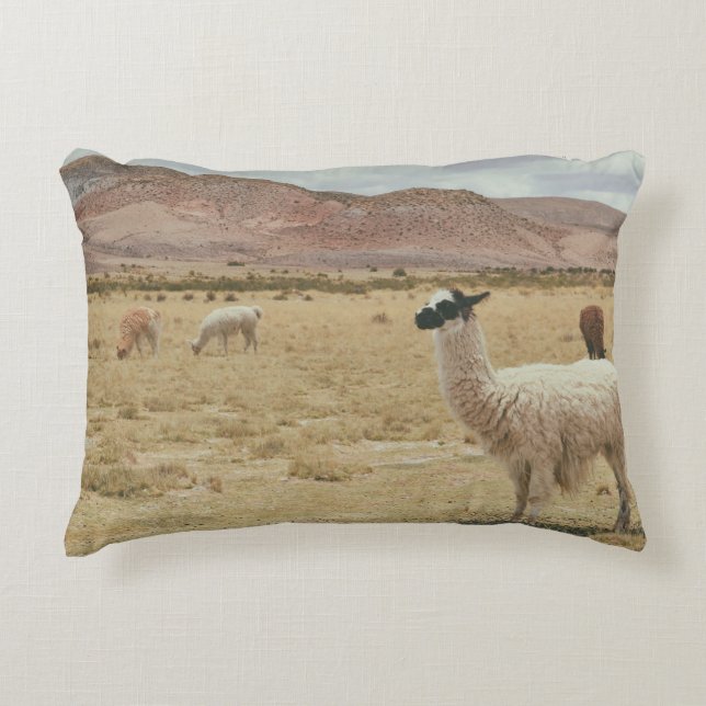 VITE LLAMA PÅ BROWN GRASS PRYDNADSKUDDE (Framsidan)