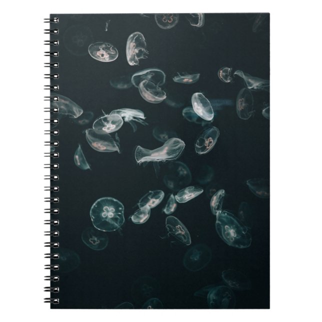 VITE OCH BLACK JELLYFISH PÅ VATTEN ANTECKNINGSBOK (Framsidan)