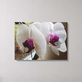 VITE ORCHID-arbetsytan Canvastryck