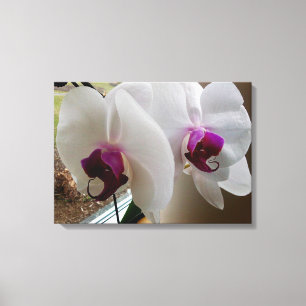 VITE ORCHID-arbetsytan Canvastryck