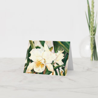 VITE PRINCESS-Orchid 2.95 Kort