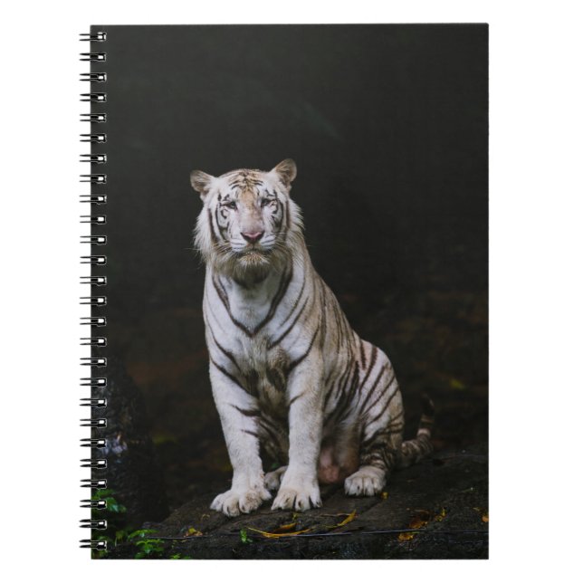 VITE TIGER ANTECKNINGSBOK (Framsidan)