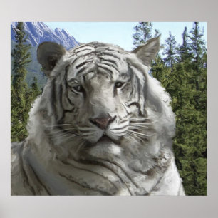 VITE TIGER I SKOGSHABITAT POSTER