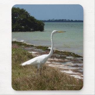 VitEgret 2 Mousepad Musmatta