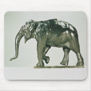 Vitelefant Musmatta