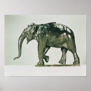 Vitelefant Poster