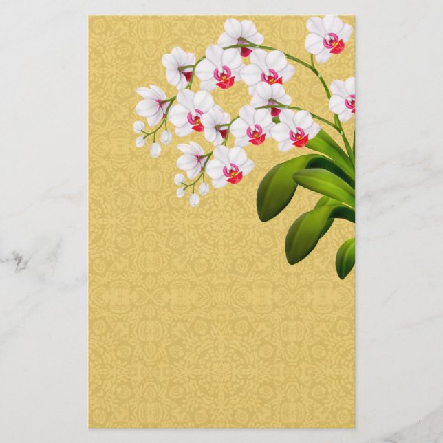 Vitfalaenopsis Orchid Flowers Stationery Brevpapper (Framsida)