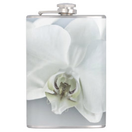 Vitfaleonopsis Orchid Fickplunta