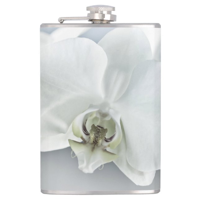 Vitfaleonopsis Orchid Fickplunta (Framsidan)