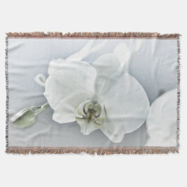 Vitfaleonopsis Orchid Filt