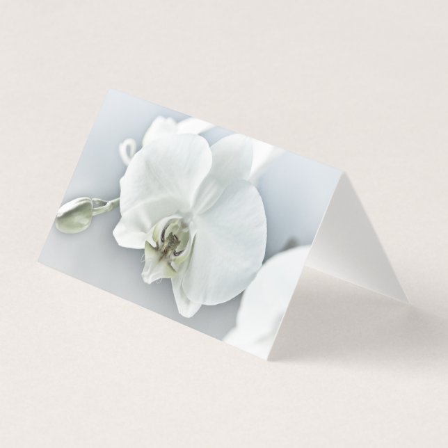 Vitfaleonopsis Orchid Kort (Framsida)