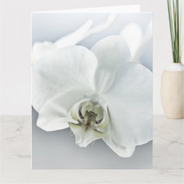 Vitfaleonopsis Orchid Kort