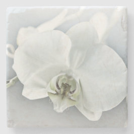 Vitfaleonopsis Orchid Stenunderlägg