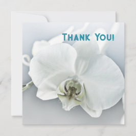 Vitfaleonopsis Orchid Tack Kort