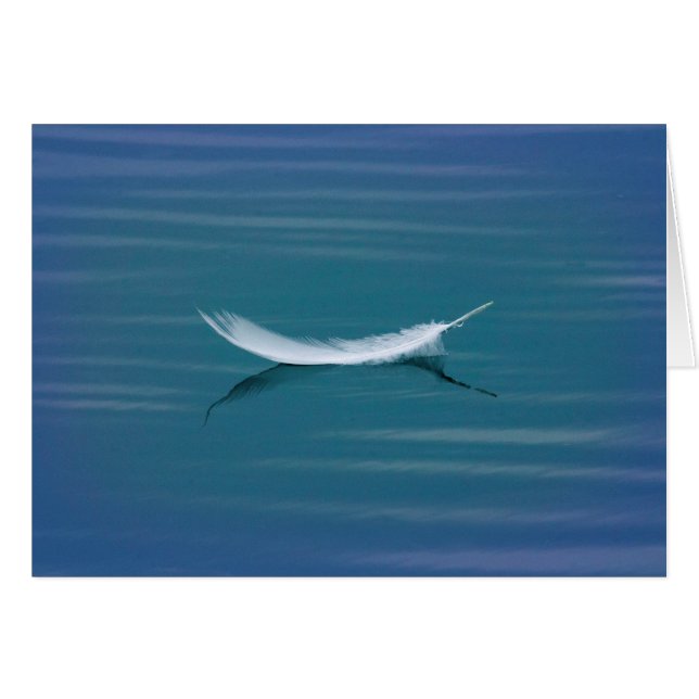 Vitfjäder på vatten hälsningskort (Framsidan Horizontal)