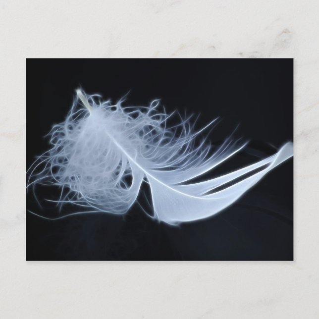 Vitfjäder - som är änglalik vid naturen vykort (Framsida)