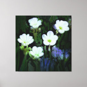 VITFLÖDEN STRETCHED CANVAS