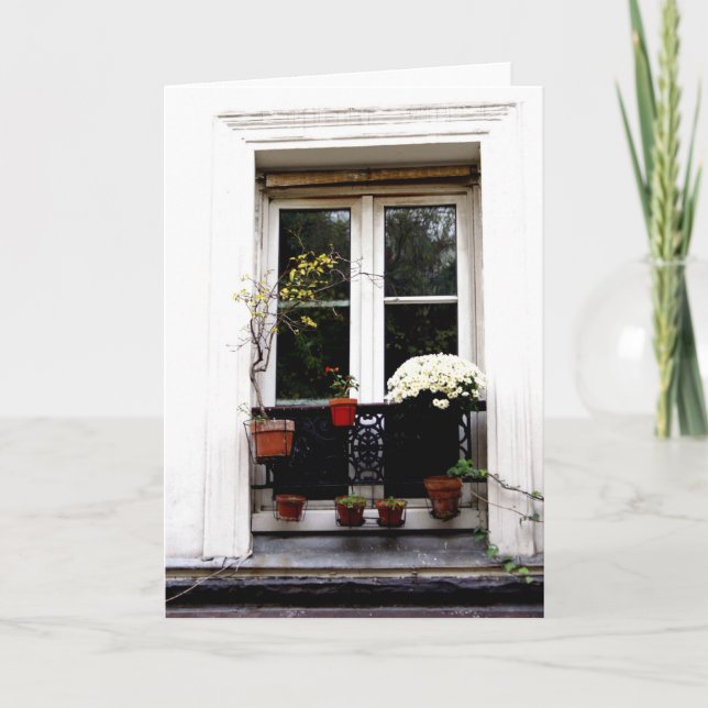 Vitfönster Kort (Framsida)