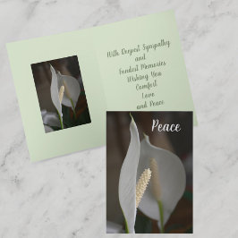 Vitfred Lily Botanias Blommigt Sympathy Kort