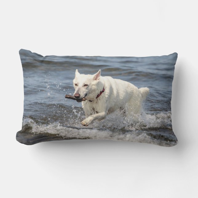 Vitgerman shepard på sjön George Lumbarkudde (Framsida)