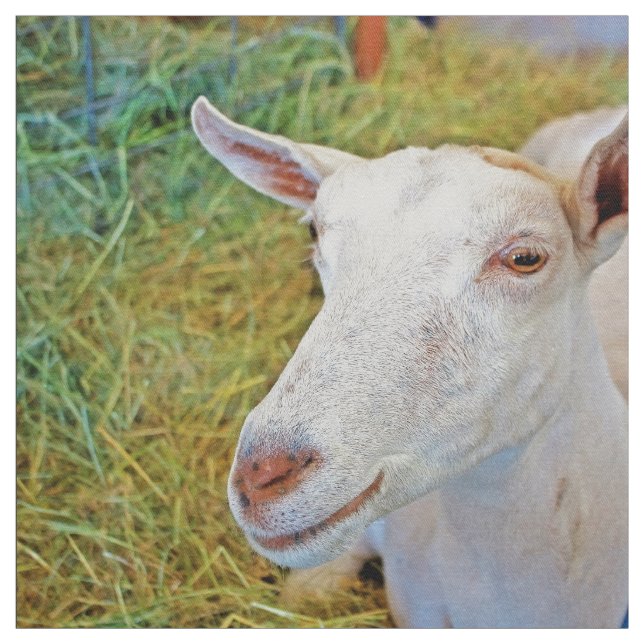 Vitget Tyg (Provkarta)