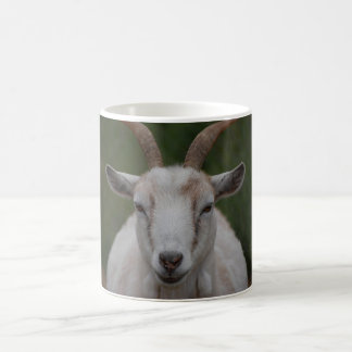 Vitgetmugg Kaffemugg
