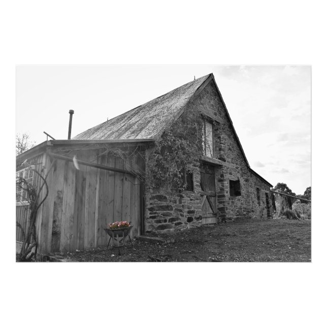 Vitgörare Fototryck (Framsidan)