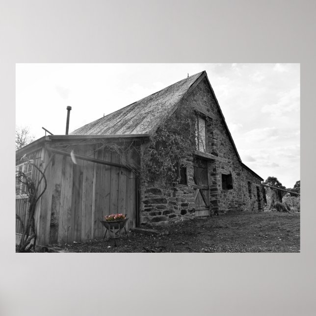 Vitgörare Poster (Framsidan)