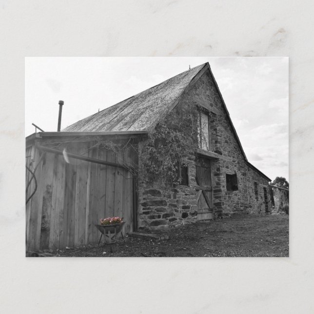 Vitgörare Vykort (Framsida)