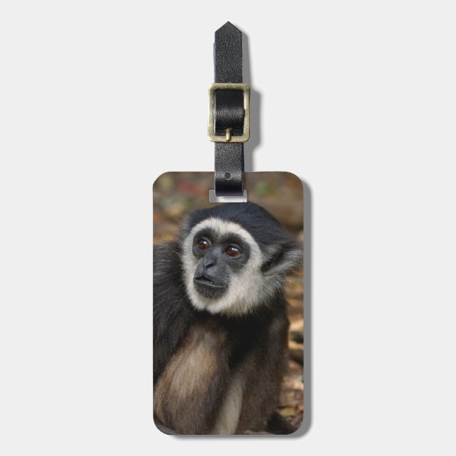 VitHandad Gibbon (Hylobates Lar), Monkeyland Bagagebricka (Vertikal Framsida)