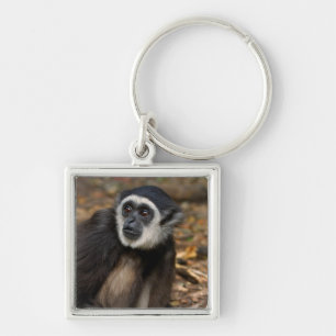 VitHandad Gibbon (Hylobates Lar), Monkeyland Fyrkantig Silverfärgad Nyckelring